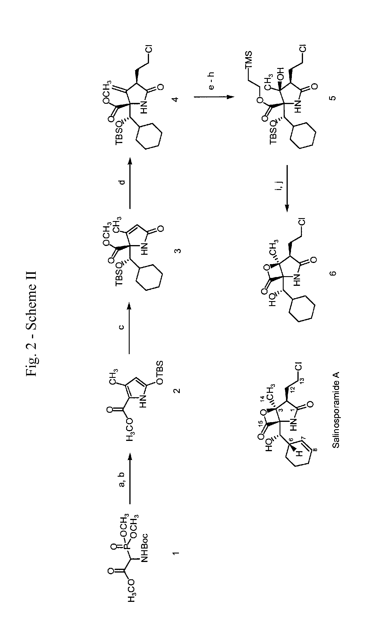 Analogs of salinosporamide A