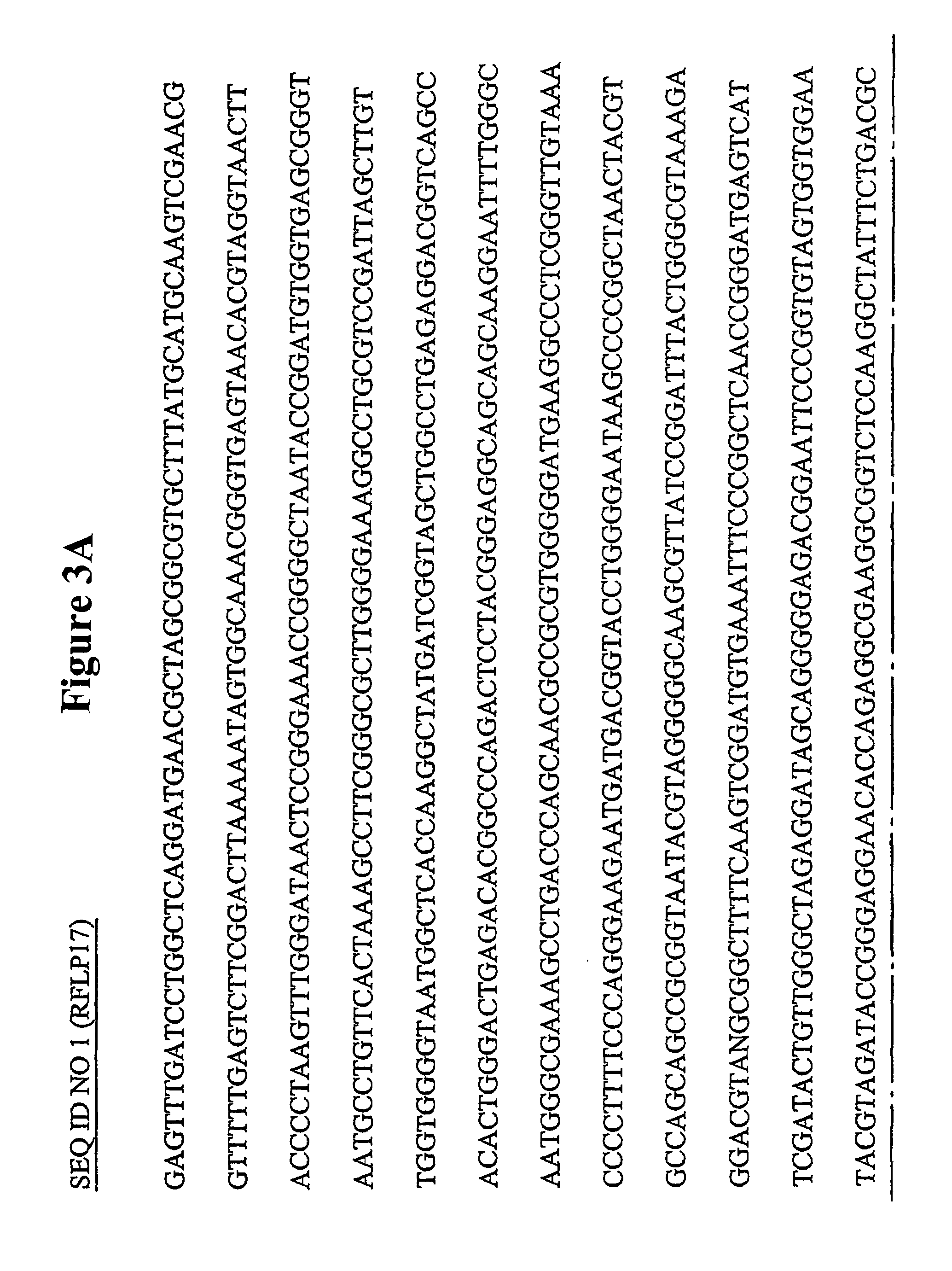 Stimulation of microbial dechlorination of polychorinated biphenyls with halogenated ethenes