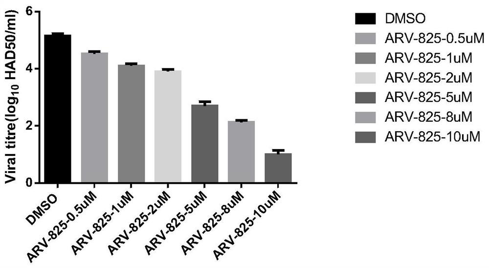 The new application of compound arv-825 for the preparation of drugs for the prevention or treatment of African swine fever