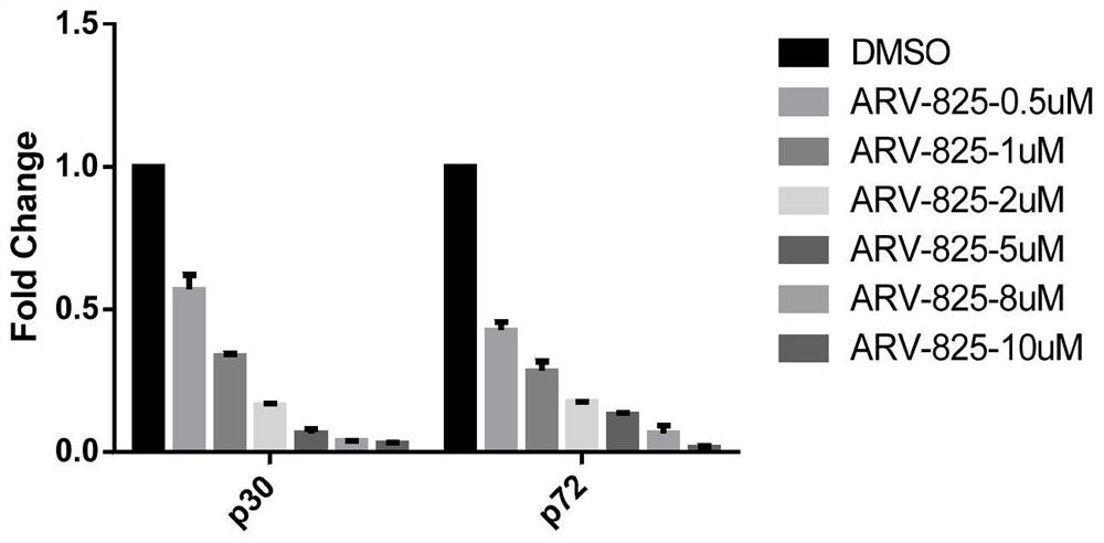 The new application of compound arv-825 for the preparation of drugs for the prevention or treatment of African swine fever