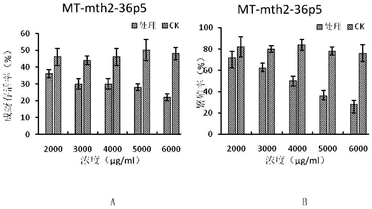 A kind of alfalfa trypsin inhibitor mt-mth2-36p5 and its coding gene and application