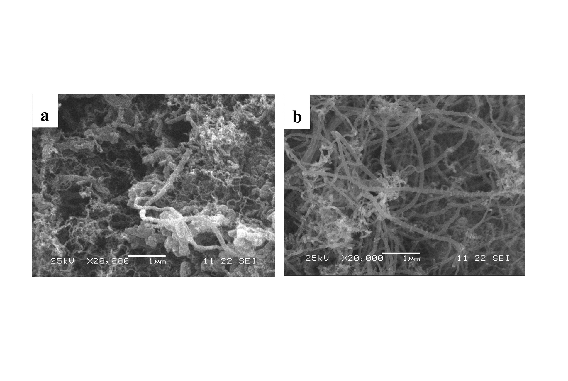 Silicon carbide fiber solid fabric for in-situ growing carbon nano tubes, composite material and preparation method thereof