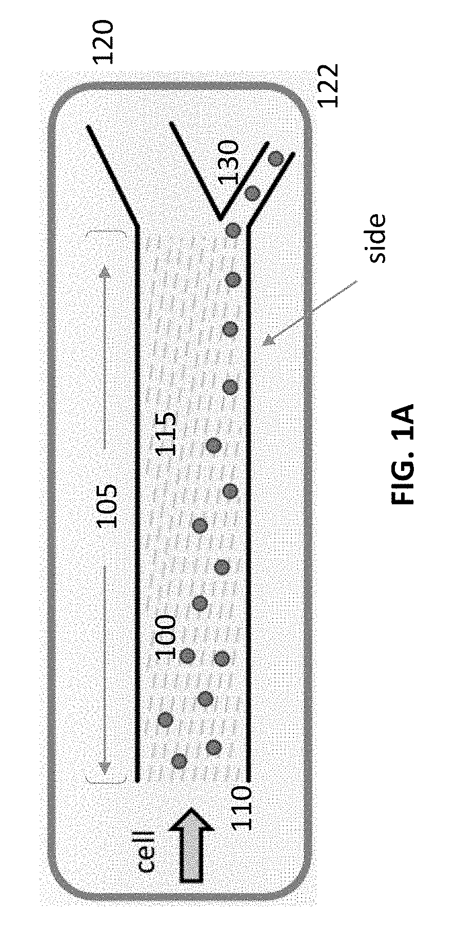 Microfluidic Cellular Device and Methods of Use Thereof