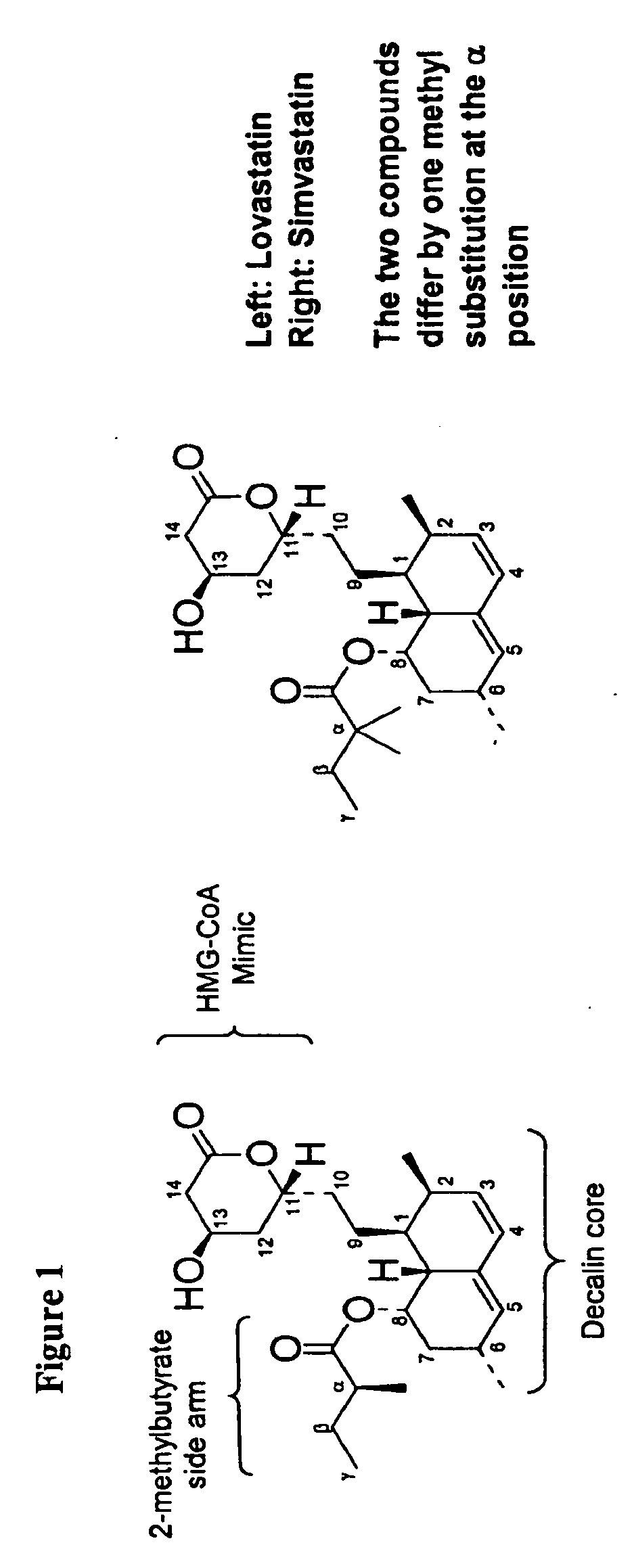 Methods and Materials for Making Simvastatin and Related Compounds