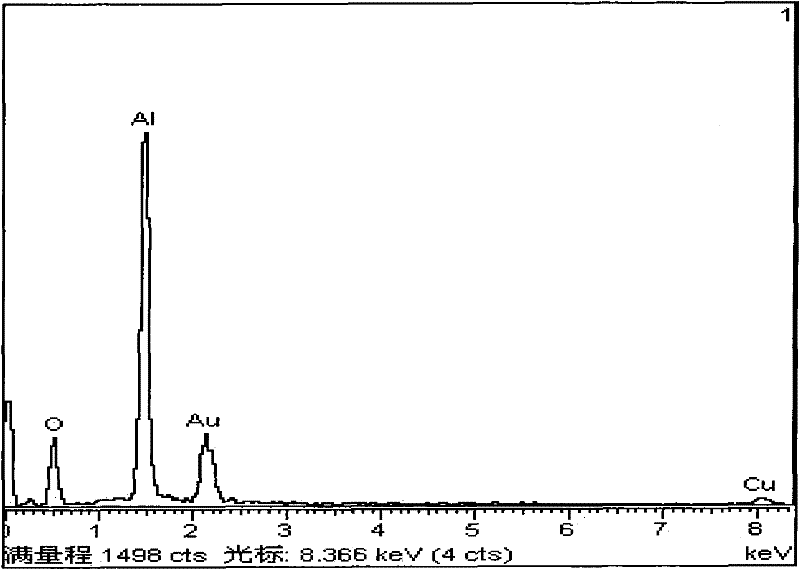 Method for preprocessing neopentyl glycol industrial wastewater by catalytic oxidation