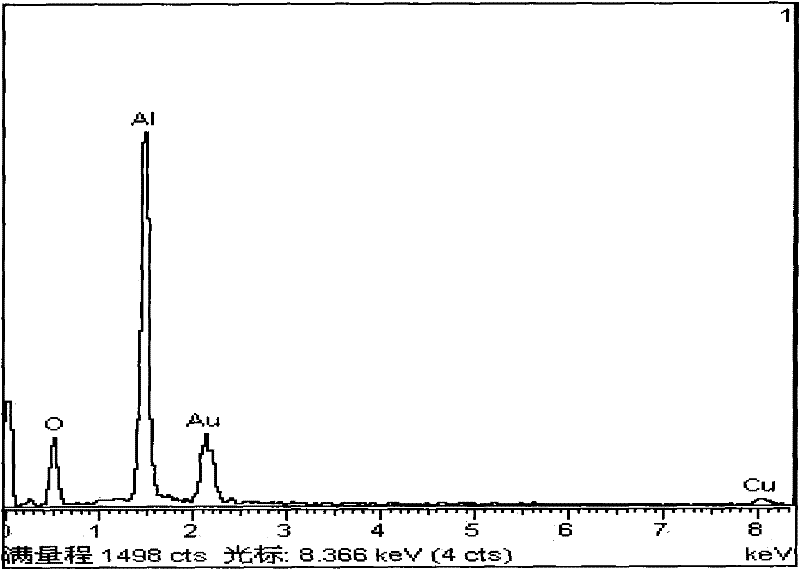 Method for preprocessing neopentyl glycol industrial wastewater by catalytic oxidation