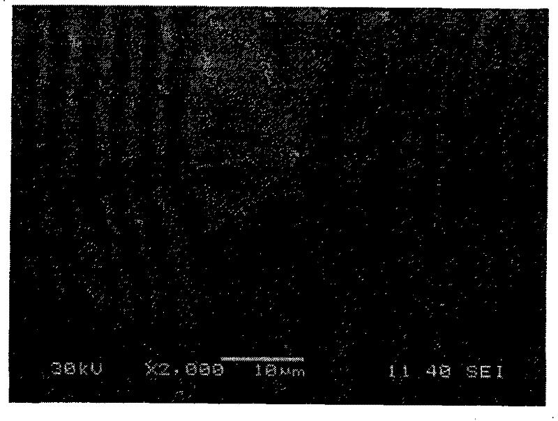 Sulfureous resistant four-effect catalyst for purifying tail gas of vehicle