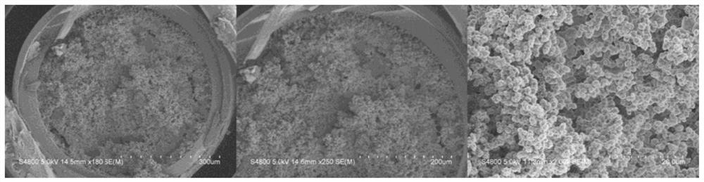 A carboxylated organic-inorganic hybrid monolithic column and its preparation method and application