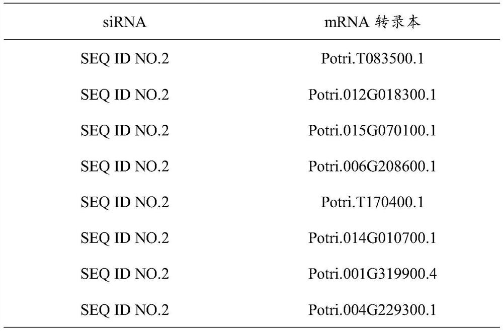Method for identifying transcription regulation relationship of plant endogenous siRNA