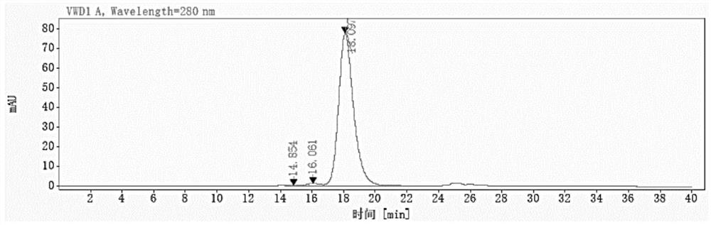 Application of mutant single-chain human coagulation factor VIII in preparation of fusion protein