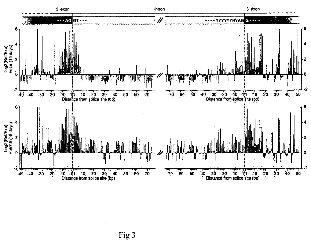 Method for screening and identifying functional lncrnas