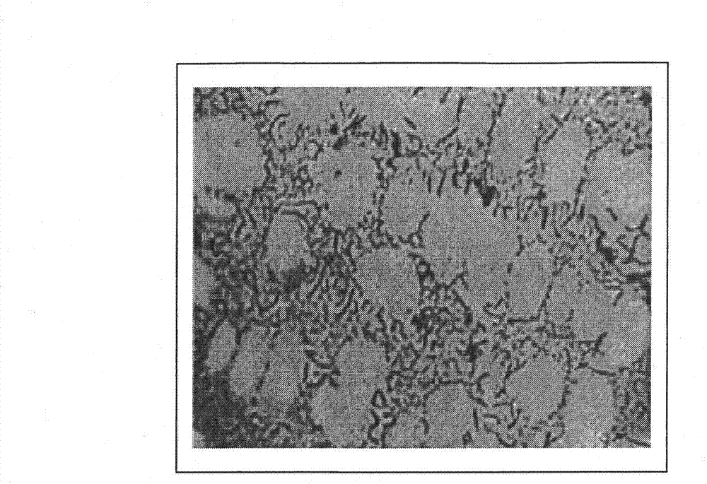 Glass mould material of alloy cast iron and preparation method thereof