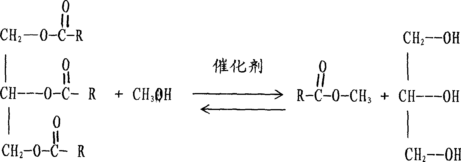 Method of synthesizing biodiesel oil using fixed bed gaseous phase esterification reaction