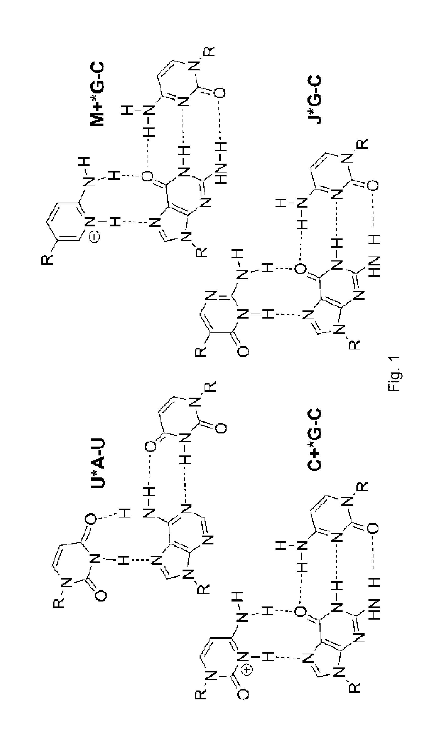 Compositions and methods for recognition of RNA using triple helical peptide nucleic acids