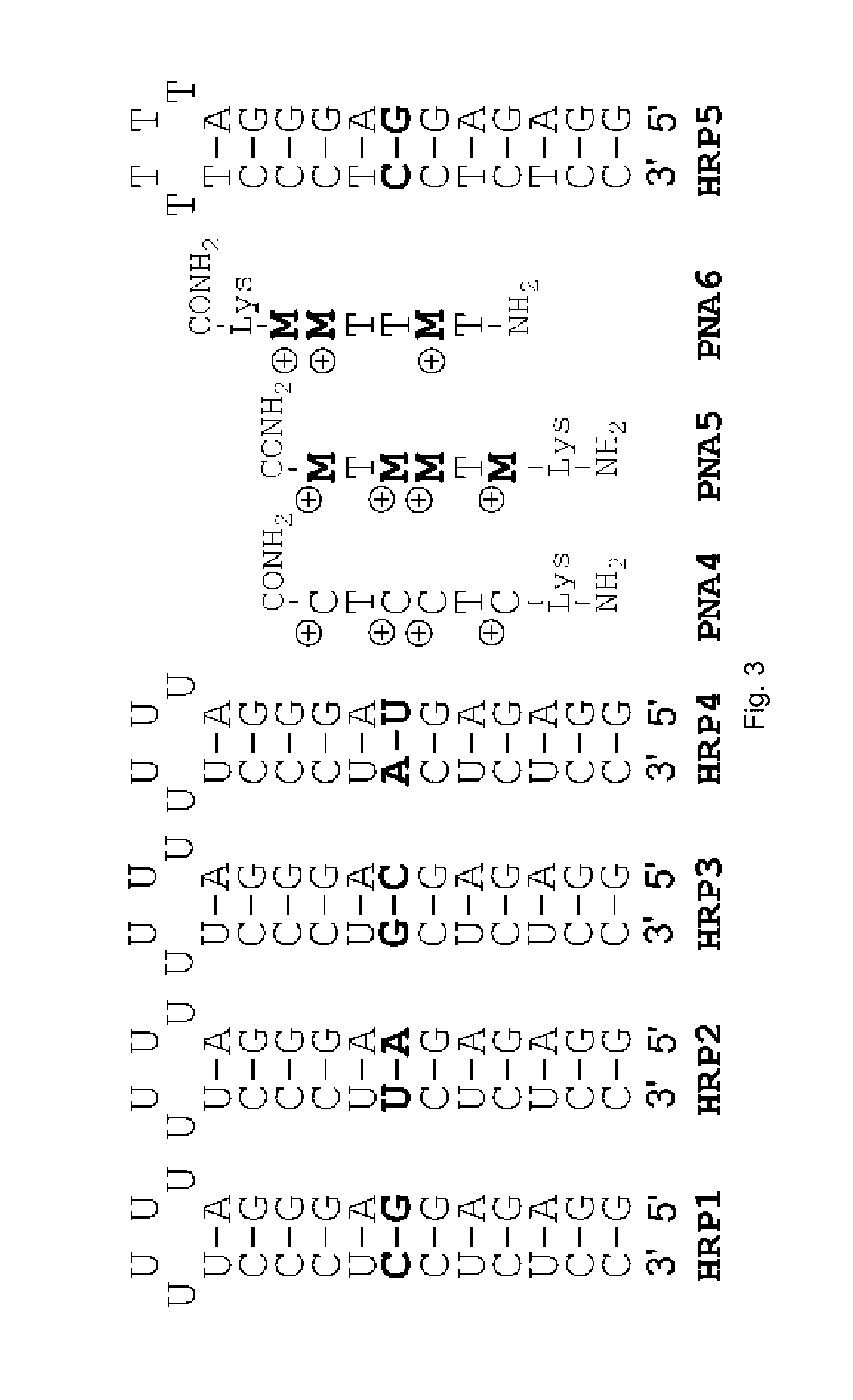 Compositions and methods for recognition of RNA using triple helical peptide nucleic acids