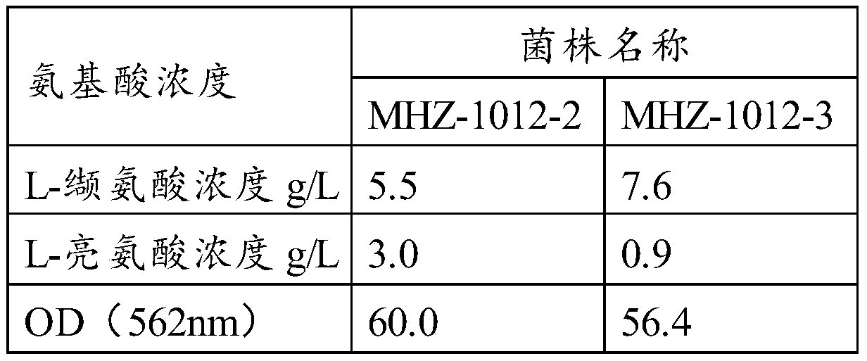 Corynebacterium capable of realizing high yield of valine as well as construction method and application thereof