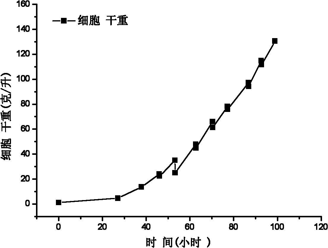 Method for producing lutein from microalgae