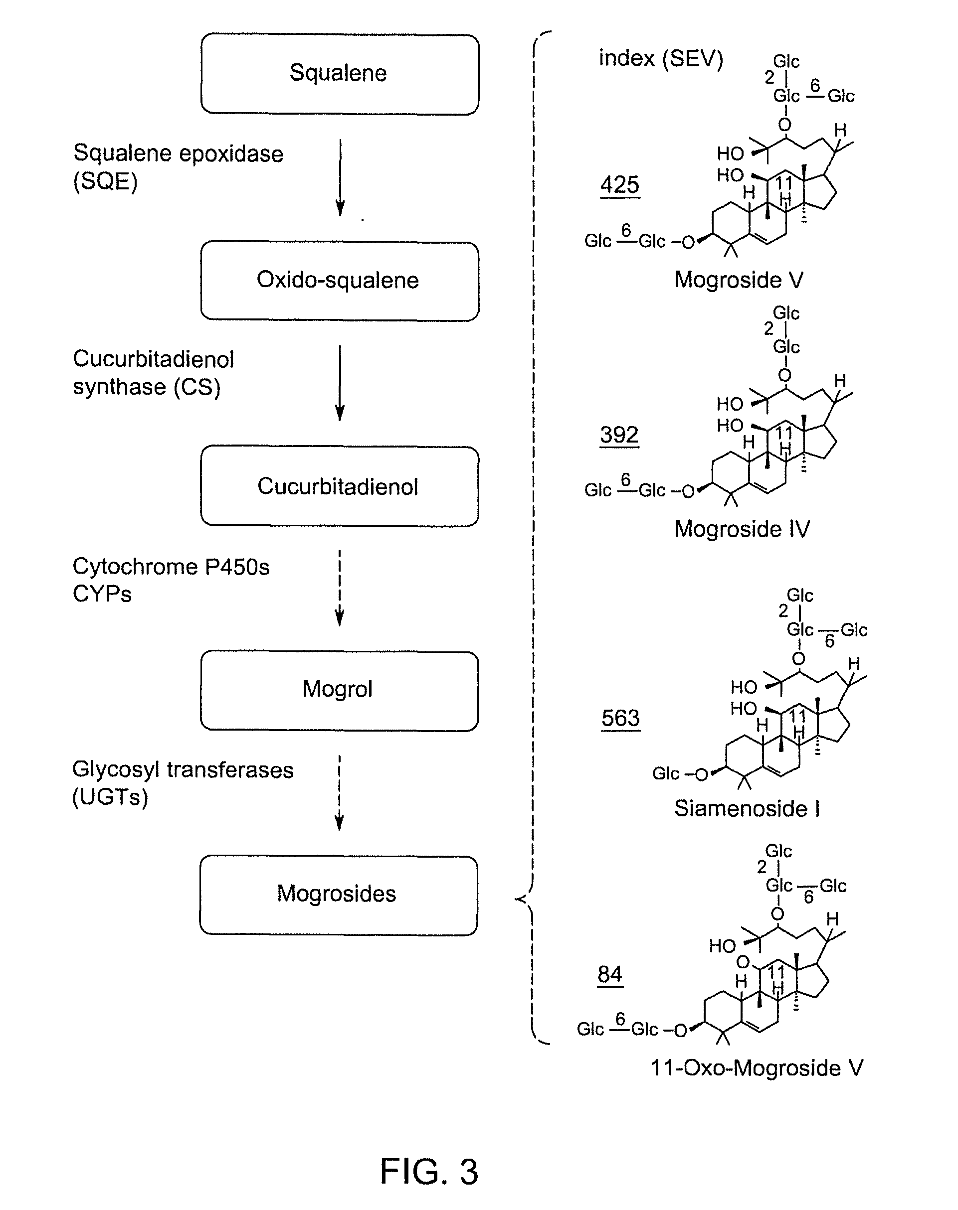Methods and Materials for Biosynthesis of Mogroside Compounds