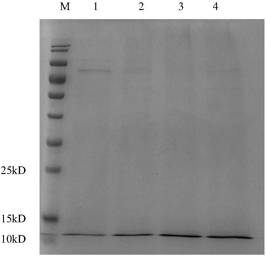 Method for isolating recombinant human nerve growth factor from mammalian cell culture