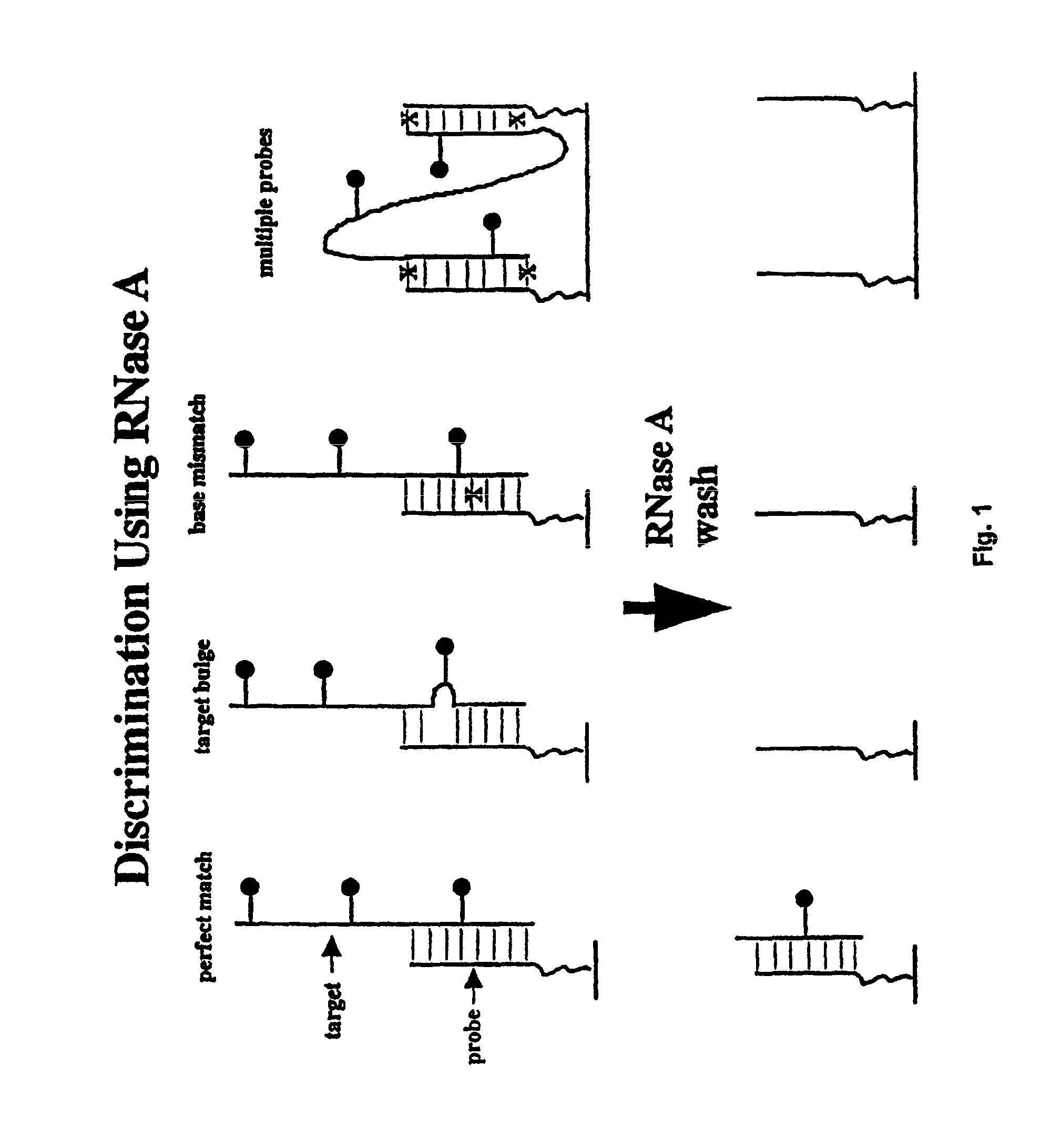 Methods of enzymatic discrimination enhancement and surface-bound double-stranded DNA
