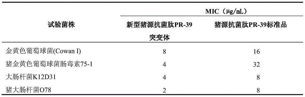 Swine antibacterial peptide PR-39 mutant as well as preparation method and application thereof