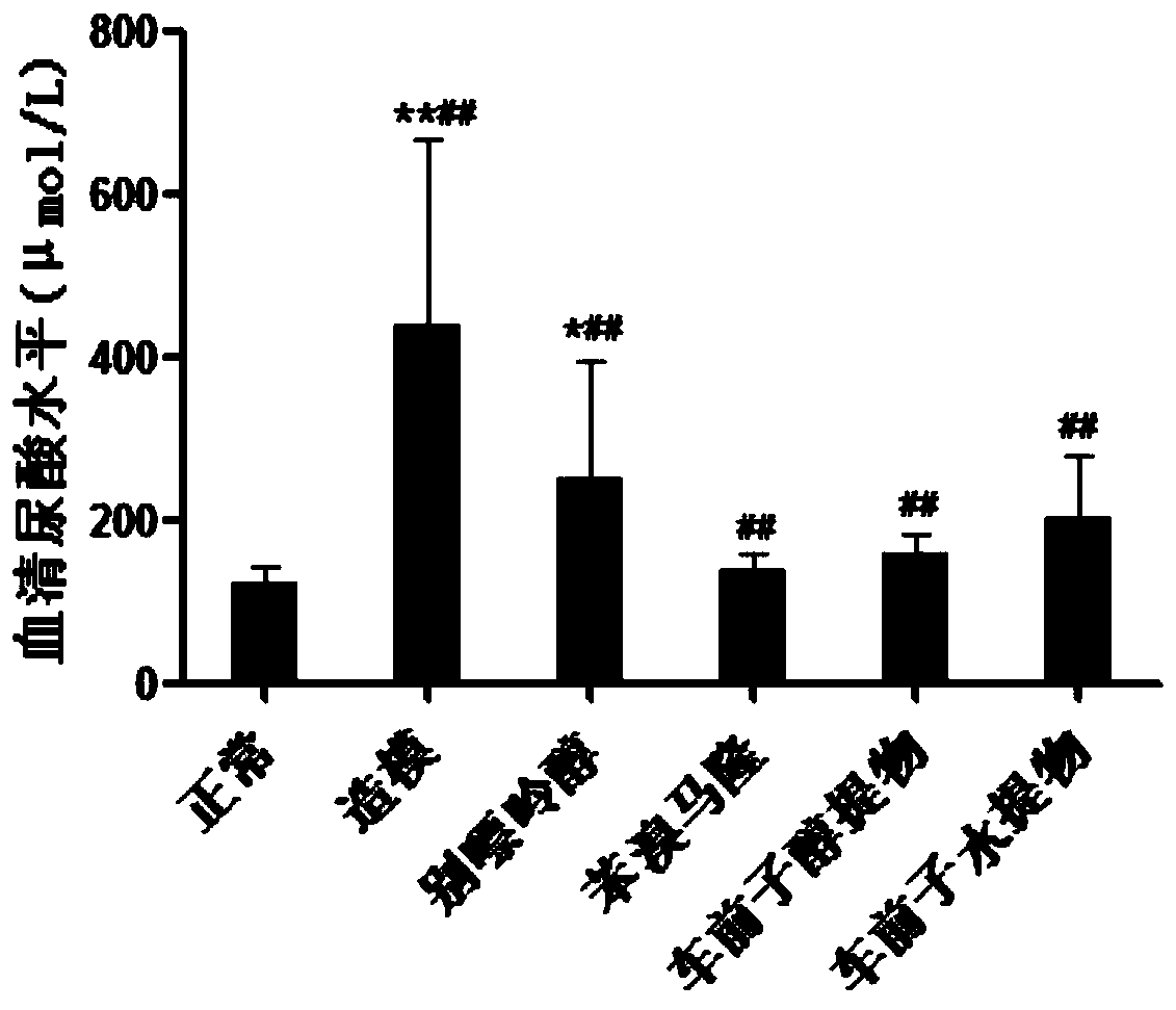 Preparation method of semen plantaginis extract and application of semen plantaginis extract to preparing drugs/healthcare products for treating/preventing high uric acid-related diseases