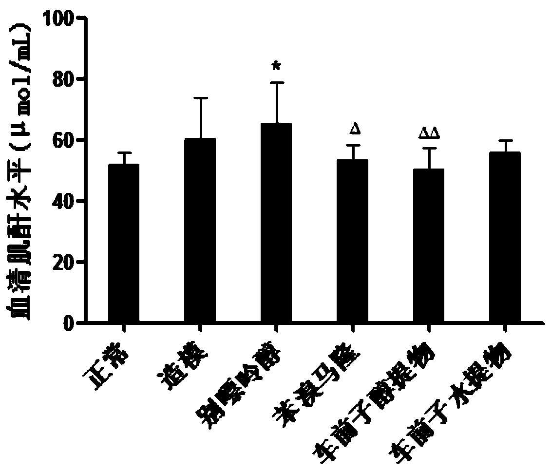 Preparation method of semen plantaginis extract and application of semen plantaginis extract to preparing drugs/healthcare products for treating/preventing high uric acid-related diseases