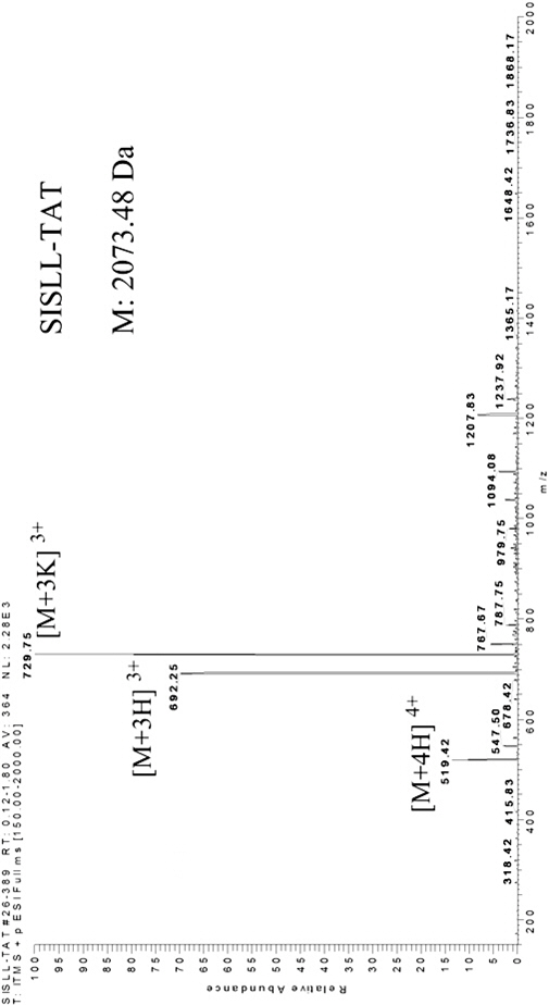 A kind of antibacterial fusion peptide and its preparation method and application