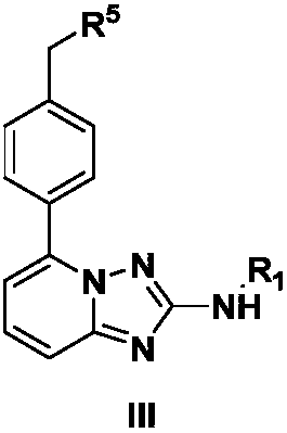 [1,2,4]triazol[1,5-a]pyridine compound as well as preparation method and medical application thereof