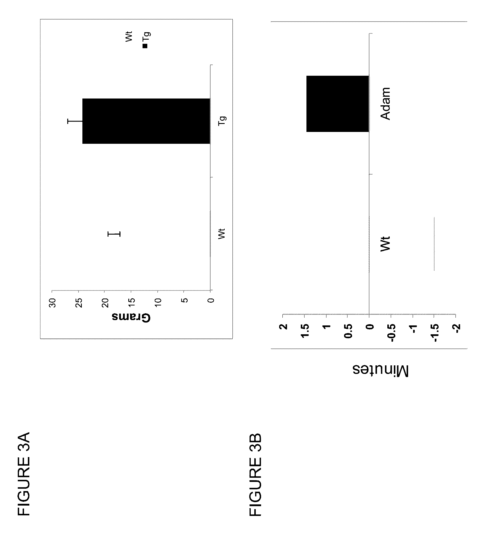 Modulation of muscle and adipocyte distribution and fate