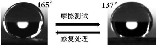 Superhydrophobic powder coating and preparation method thereof