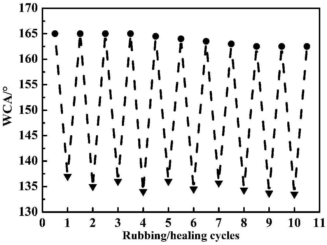 Superhydrophobic powder coating and preparation method thereof