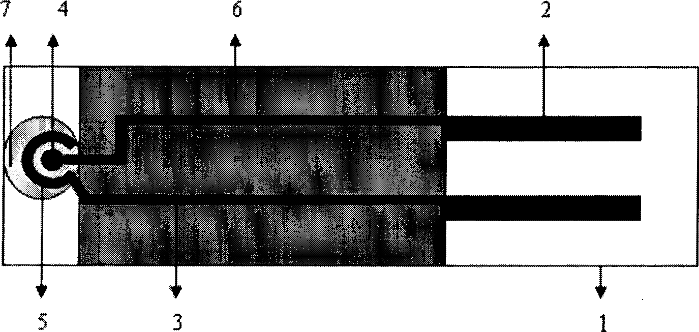 Silk-screen printing electrode and method for synthesizing chloramphenicol molecular imprinting film