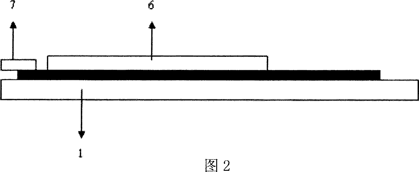 Silk-screen printing electrode and method for synthesizing chloramphenicol molecular imprinting film