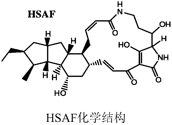 A method for rapidly and efficiently extracting active antibacterial substance hsaf in fermentation broth