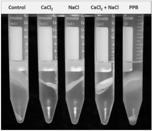 A method for rapidly and efficiently extracting active antibacterial substance hsaf in fermentation broth