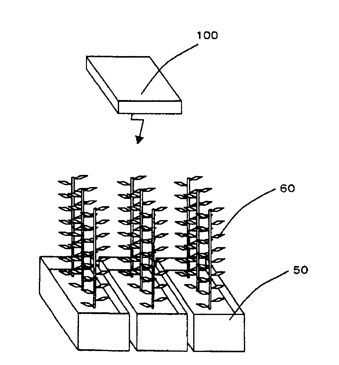 Plant illumination and cultivation method that provides insect-screening effects and illumination device for plant cultivation