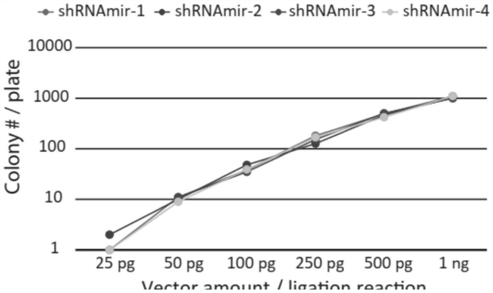 Pri-miRNA improved sequence and vector for expressing same