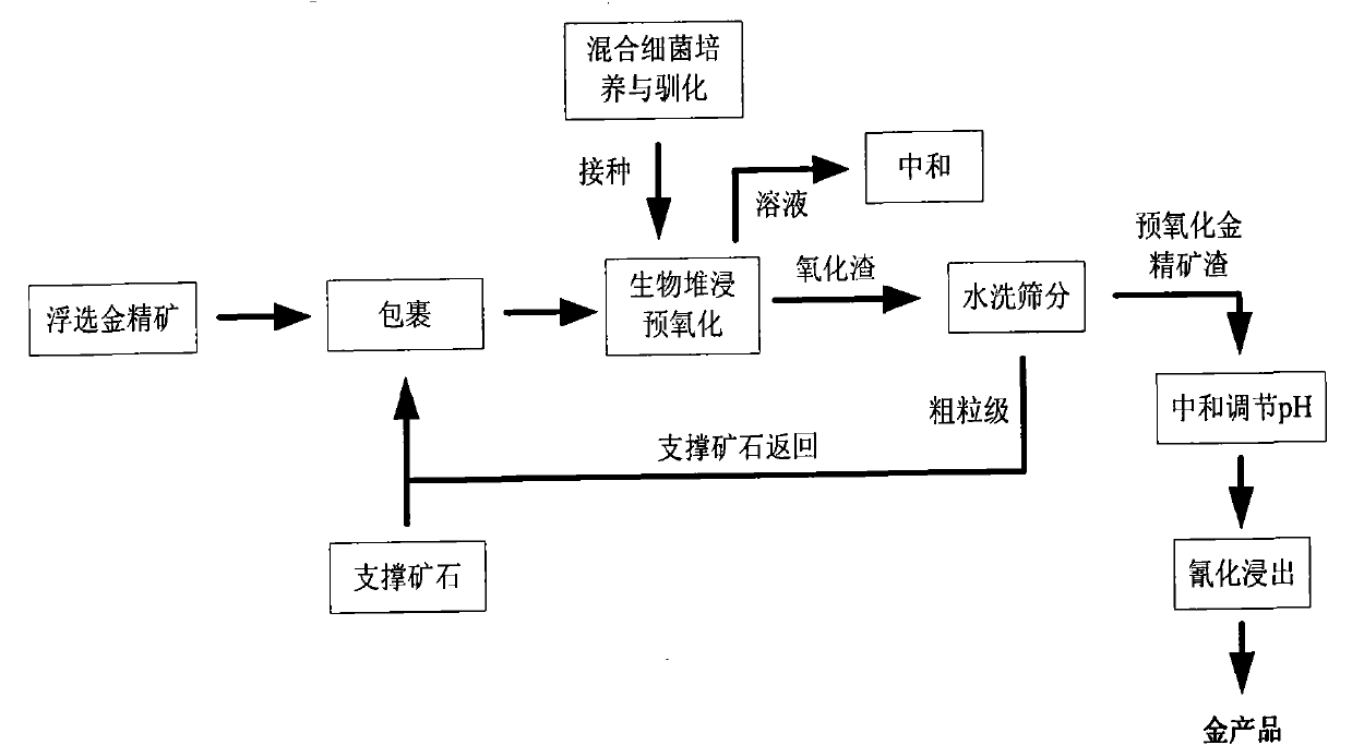 Biological pre-oxidation treatment process of low-grade refractory gold ores or ore concentrate