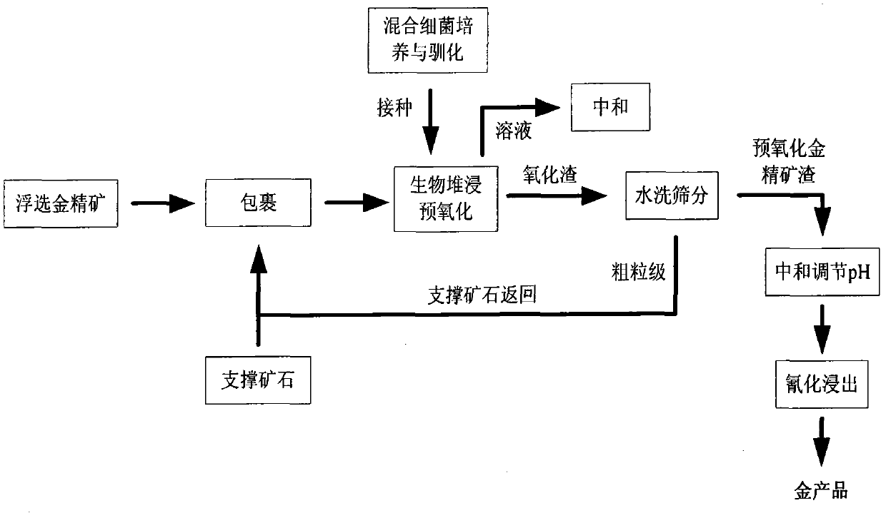 Biological pre-oxidation treatment process of low-grade refractory gold ores or ore concentrate