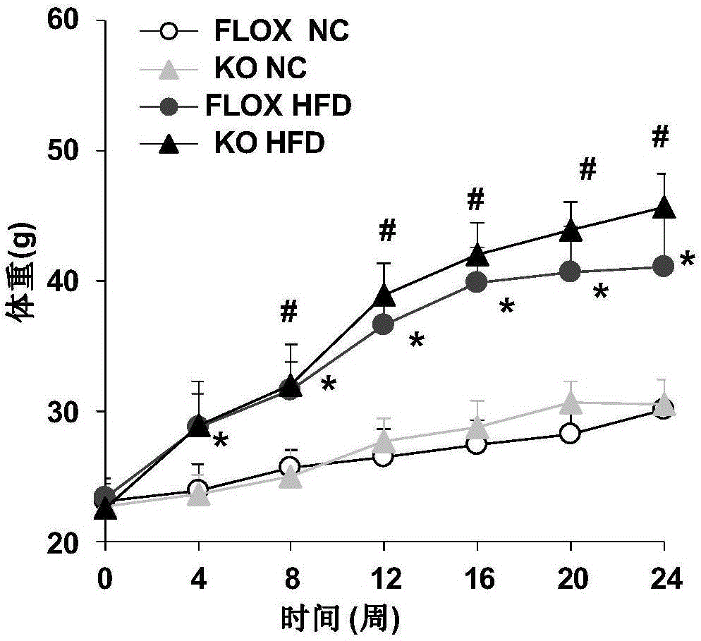 Application of cellular Fas-associated death domain-like interleukin-1 beta-converting enzyme-like inhibitory protein to treatment of fatty livers