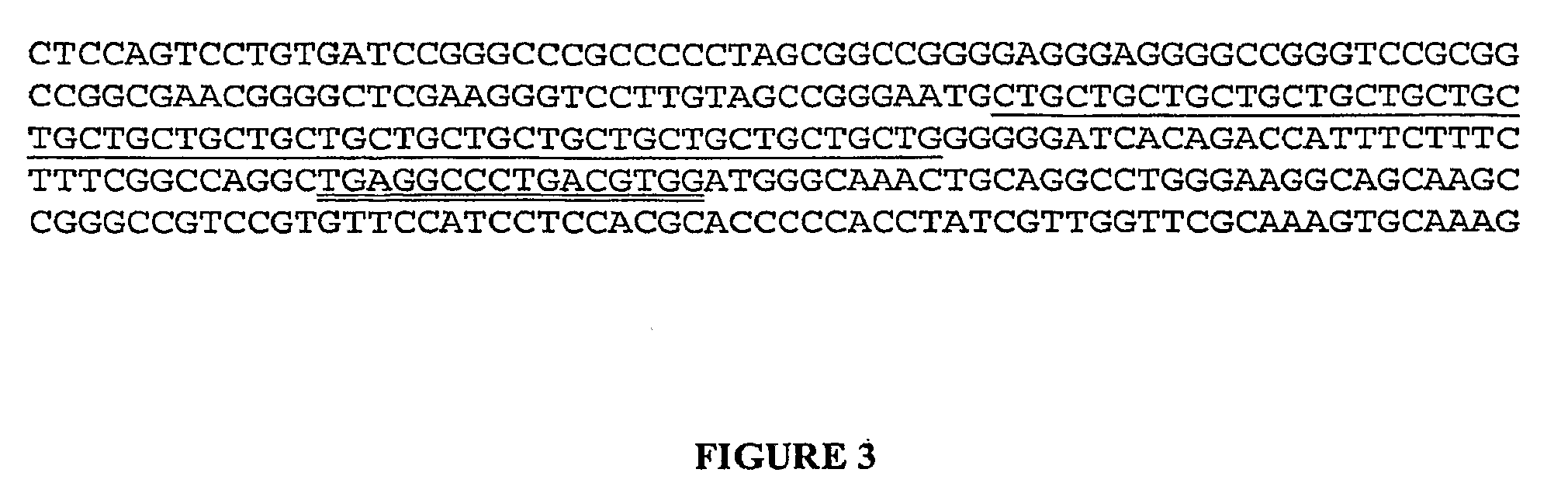 Nucleic acid size detection method