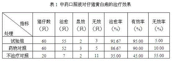 Traditional Chinese medicine composition for treating damp-heat type yellow and white scour of piglets as well as preparation and preparation method thereof