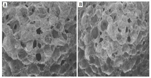 A kind of preparation method of urea-formaldehyde foam material modified by shellac waste slag glue