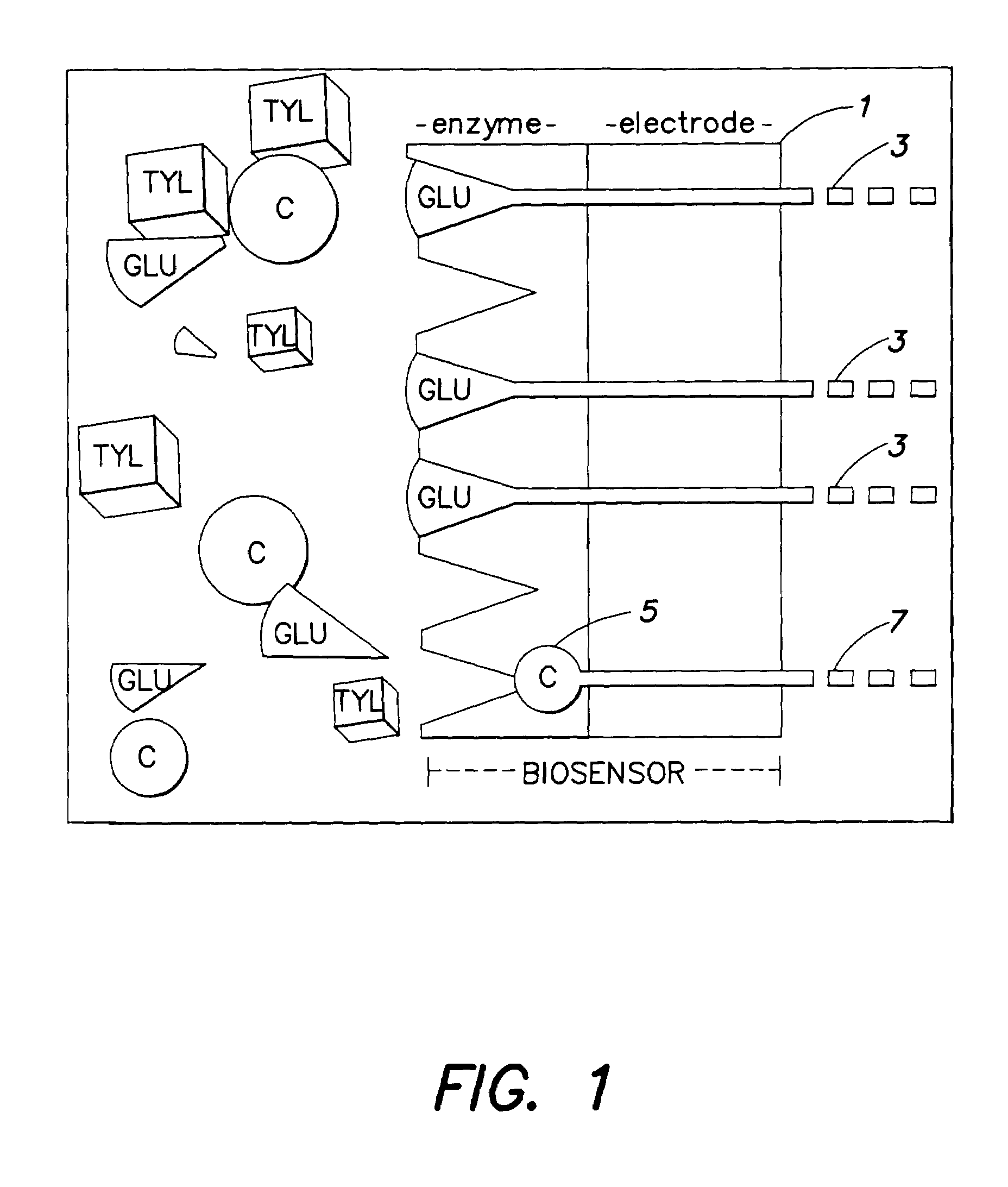 Method and apparatus for processing electrochemical signals