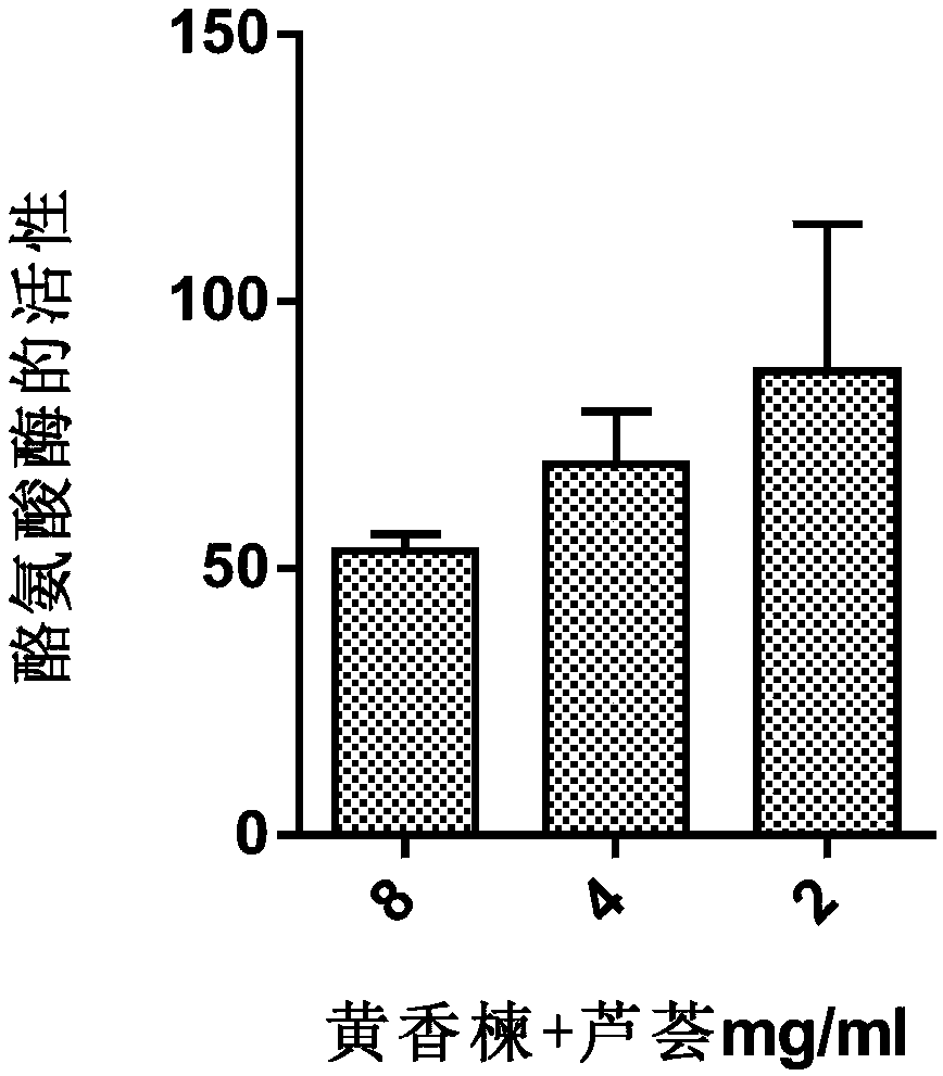 Huang Xiang neem-aloe extract for preventing and treating propionibacterium acnes and application thereof