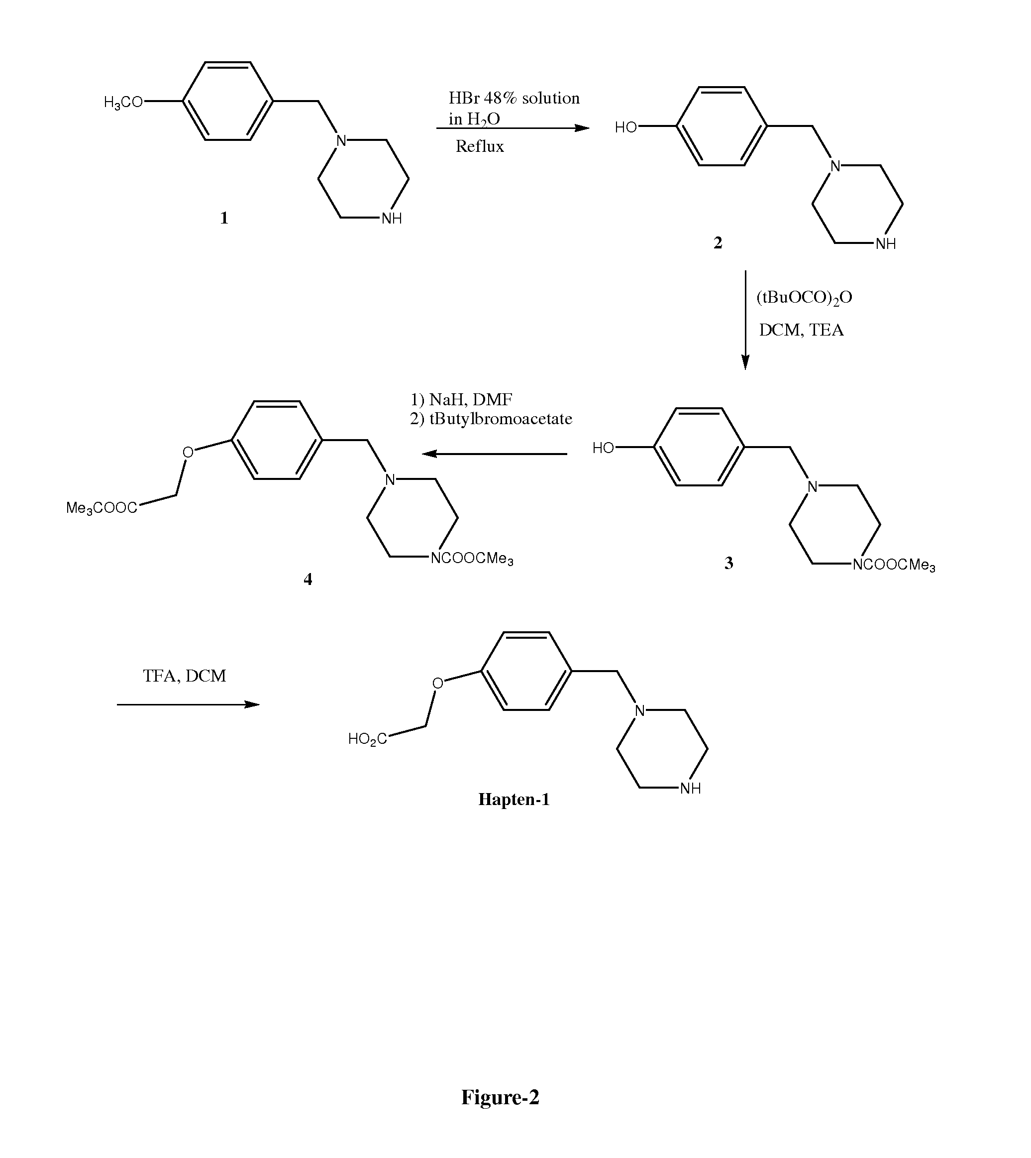 Assay for Benzylpiperazine and Metabolites