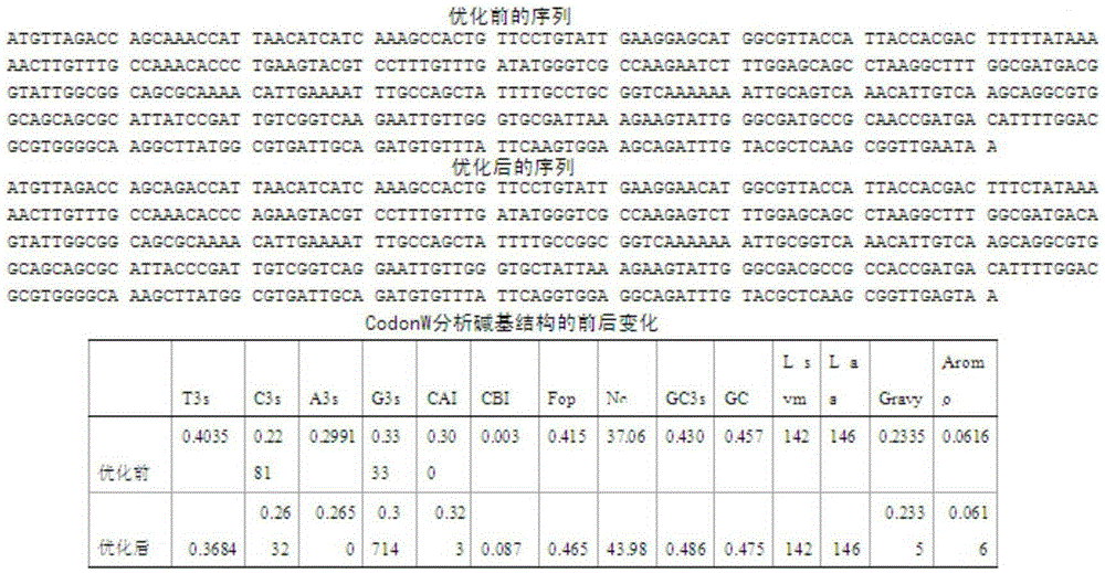 Vitreoscilla hemoglobin mutant and controllable expression of vitreoscilla hemoglobin mutant in genetically engineered bacteria