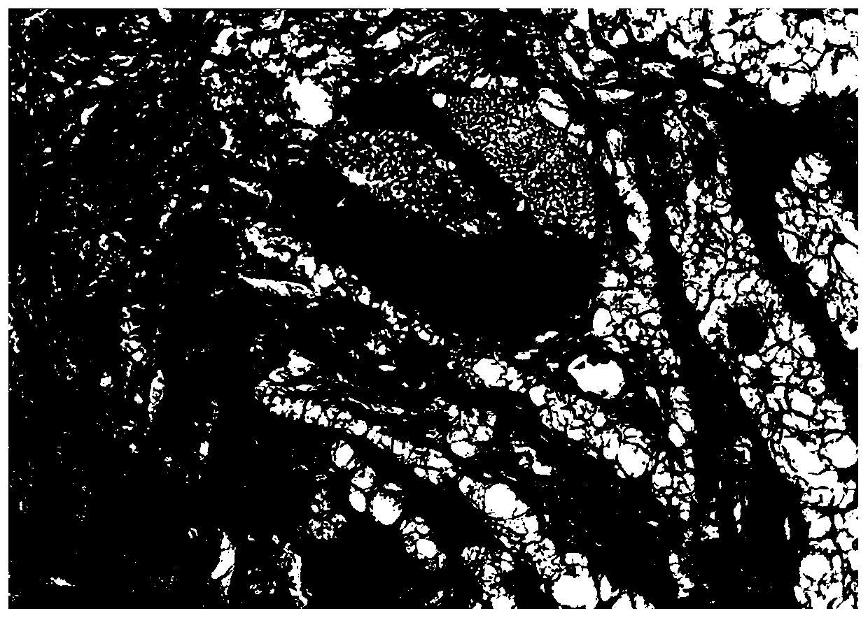 Fiber-based three-dimensional porous composite material for bone repair, its preparation method and molded product