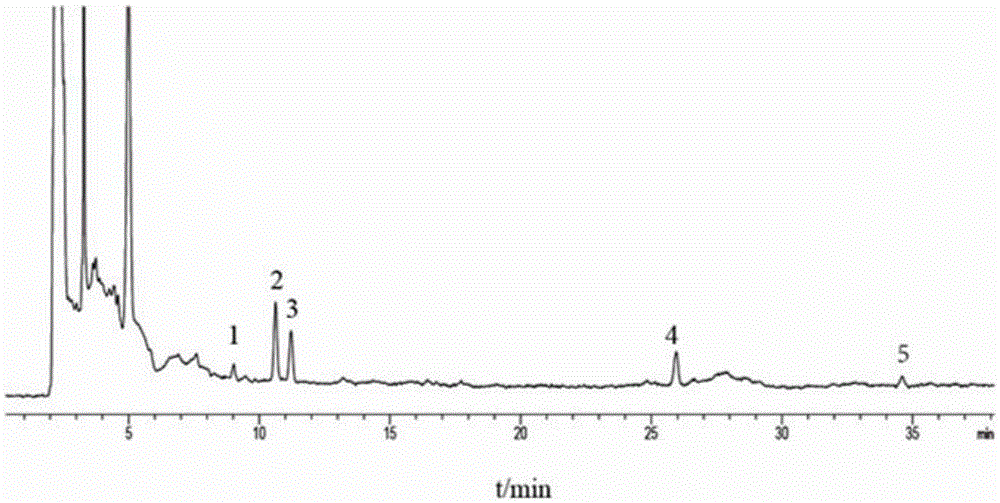 High-performance liquid phase detection method for heart-calming granules